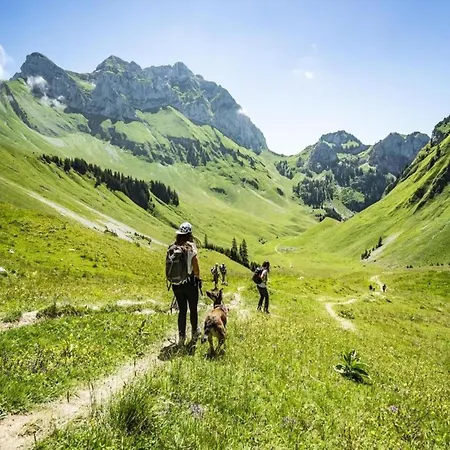 Lägenhet In With Stunning Valley Views Châtel