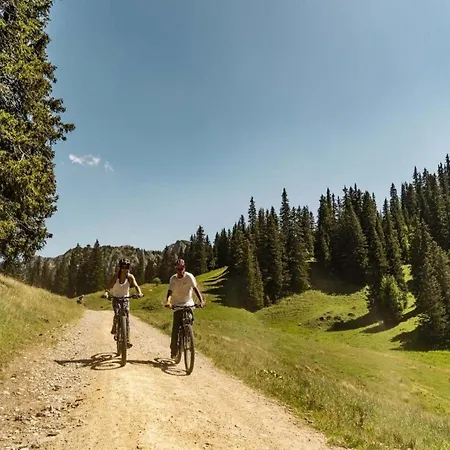 In With Stunning Valley Views * Châtel